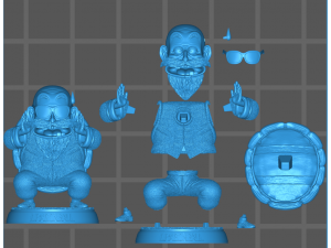 Master Roshi 3D Print Model