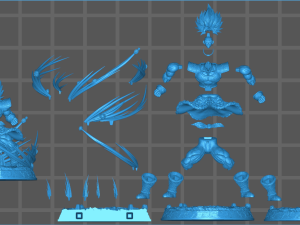 BROLY CRAZY DG SUPER 3D Print Model