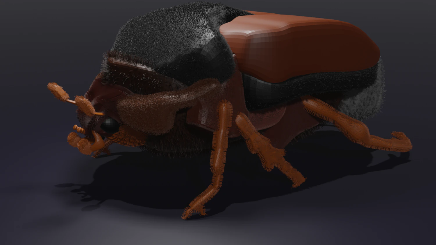 Chafer 3D Model .c4d .max .obj .3ds .fbx .stl .blend 