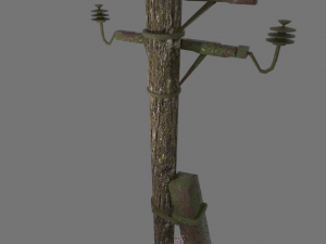 Electric rusty pole wood pole 3D Model