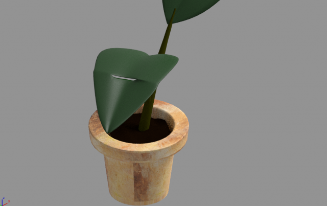Potted plant plant in pot 3D Model .c4d .max .obj .3ds .fbx .stl .blend 