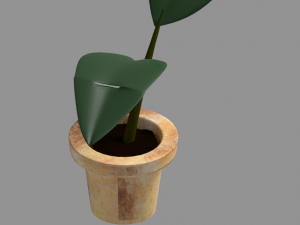 Potted plant plant in pot 3D Model