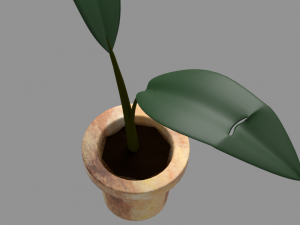 Potted plant plant in pot 3D Model