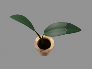 Potted plant plant in pot 3D Model