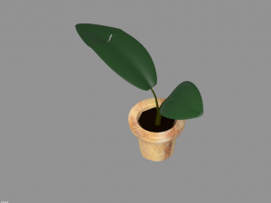 Potted plant plant in pot 3D Model