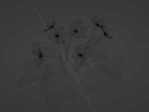Hepatica 3D Model