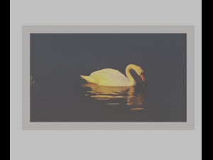 Photos in frames - Sweden Nature 1-11 pcs Modelo 3D