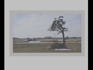 Photos in frames - Sweden Nature 1-11 pcs Modelo 3D