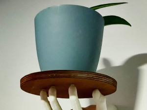 HAND SHELF 3D Принт Модель