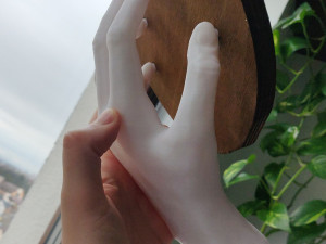 HAND SHELF 3D Принт Модель