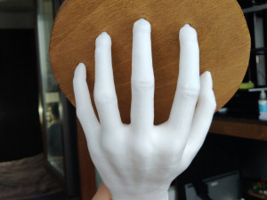 HAND SHELF 3D Принт Модель