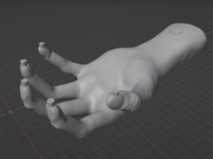 HAND SHELF 3D Принт Модель