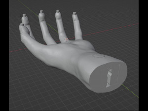HAND SHELF 3D Принт Модель