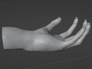 HAND SHELF 3D Принт Модель
