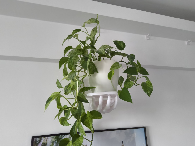 HAND SHELF 3D 프린트 모델 .c4d .max .obj .3ds .fbx .stl .blend 