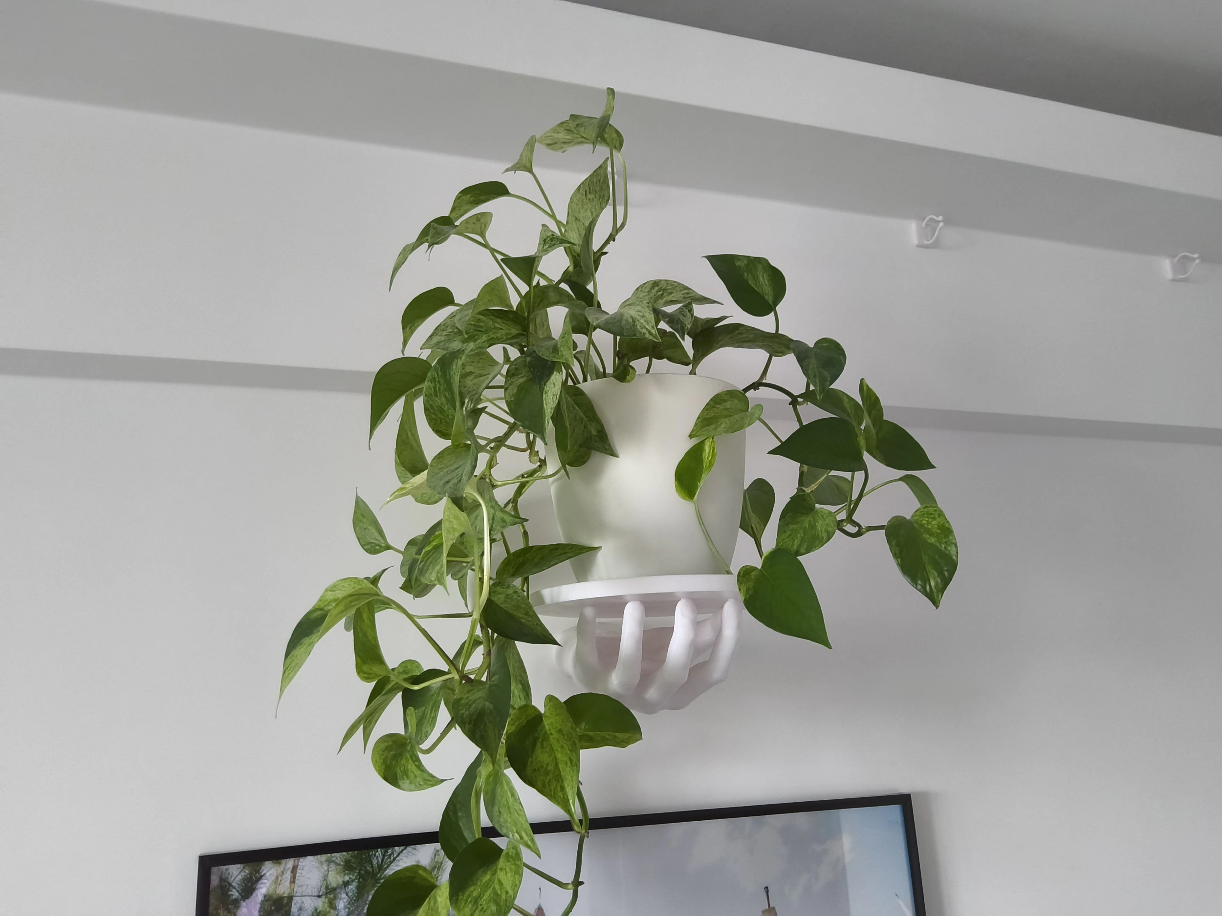 HAND SHELF 3D Print Model .c4d .max .obj .3ds .fbx .stl .blend