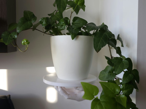 HAND SHELF 3D 프린트 모델