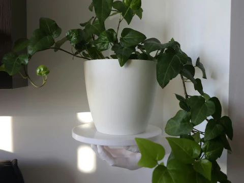 HAND SHELF 3D Print Model
