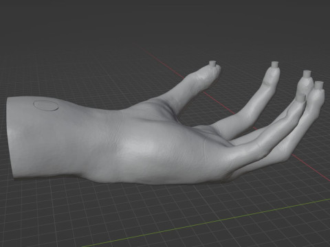 HAND SHELF 3D 프린트 모델