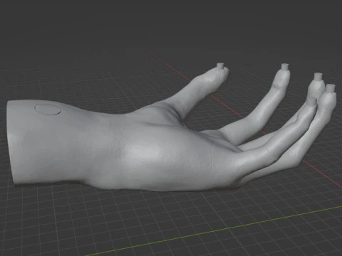 HAND SHELF 3D Print Model