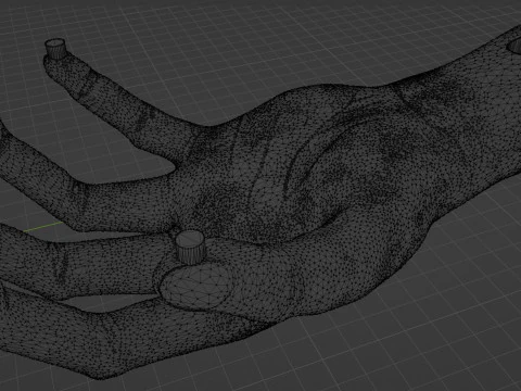 HAND SHELF 3D Print Model