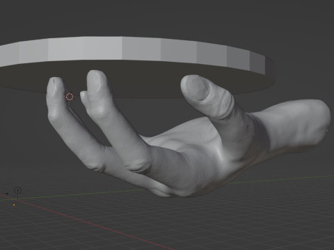 HAND SHELF 3D 프린트 모델