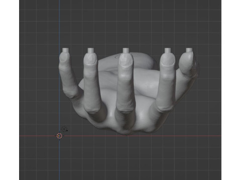 HAND SHELF 3D 프린트 모델