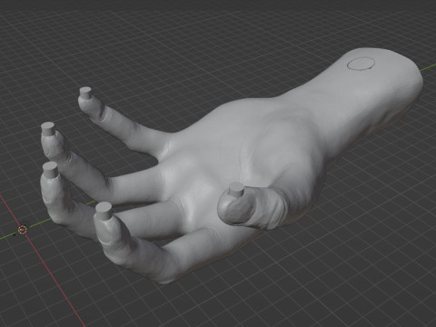 HAND SHELF 3D 프린트 모델