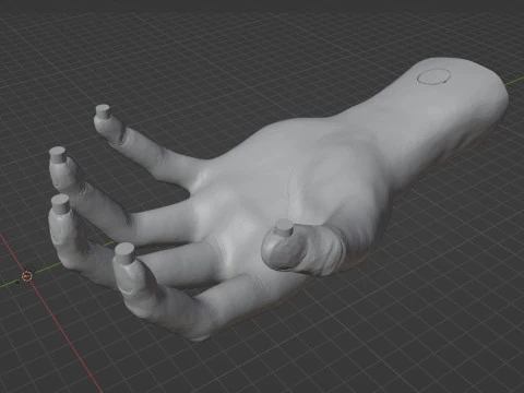 HAND SHELF 3D Print Model