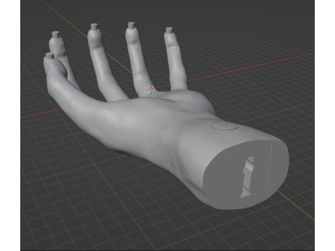 HAND SHELF 3D 프린트 모델