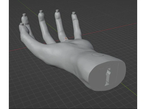 HAND SHELF 3D Print Model