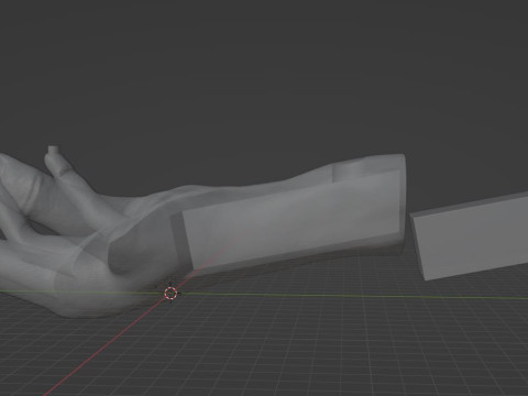 HAND SHELF 3D 프린트 모델