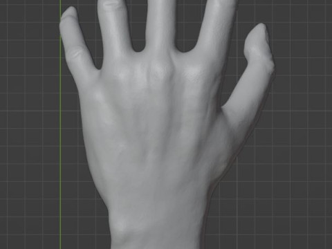 HAND SHELF 3D 프린트 모델