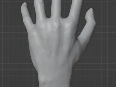 HAND SHELF 3D Print Model