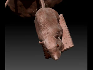 Cat Door Knocker 3D Print Model