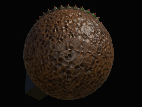 Wall Planter 3Dプリントモデル