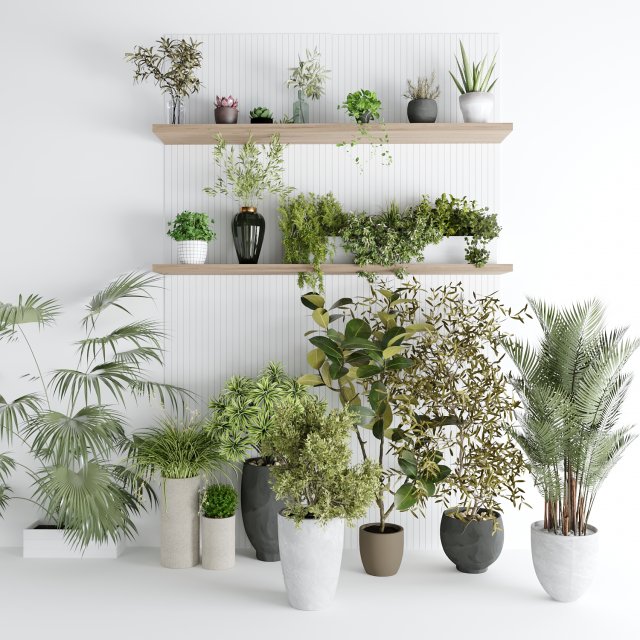 Interior plants Modelo 3D .c4d .max .obj .3ds .fbx .stl .blend 