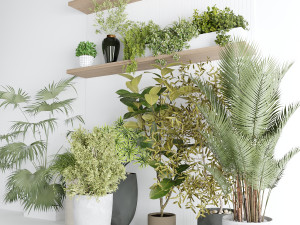 Interior plants Modelo 3D