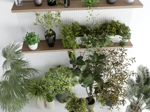 Interior plants 3D Model