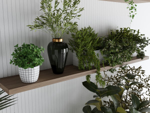 Interior plants Modelo 3D