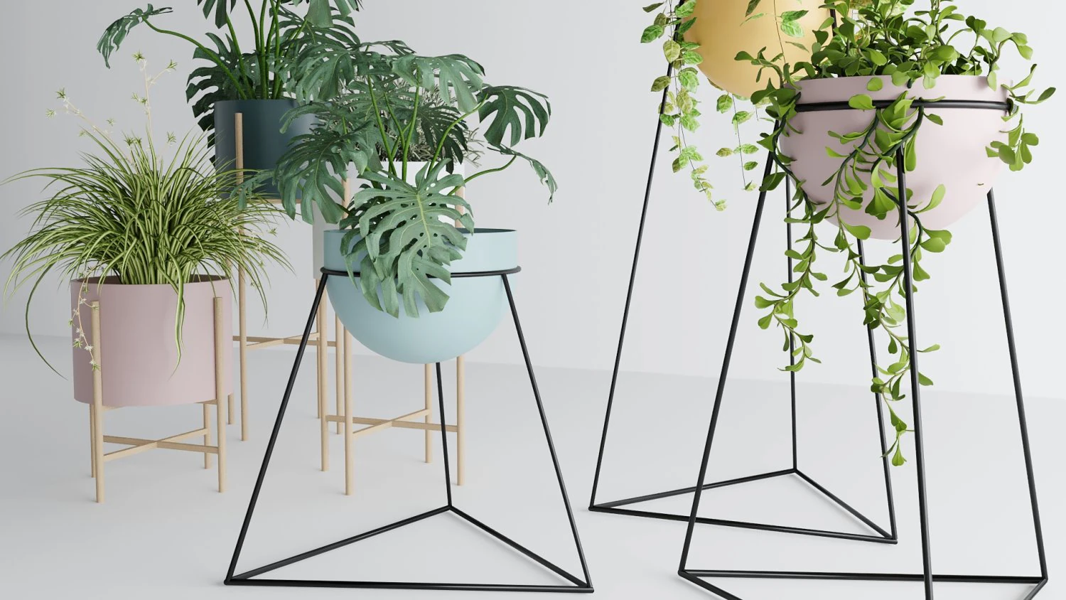 Interior plants 3D Model .c4d .max .obj .3ds .fbx .stl .blend 