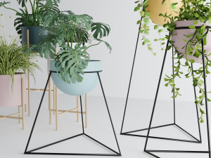 Interior plants Modello 3D