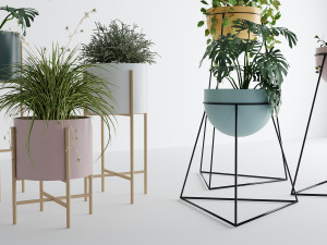 Interior plants Modello 3D