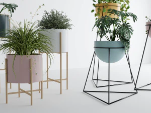 Interior plants 3D Model