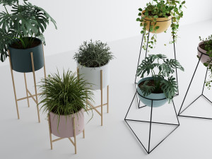Interior plants Modello 3D