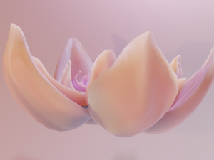 Flower model Modelo 3D