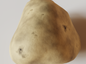 Potato 3D 模型