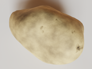 Potato 3D 模型