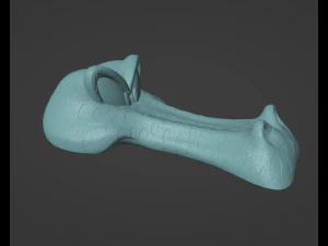 DKC2 Klinger Flitters and KrocoHeads 3D Print Model