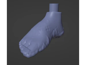 AquaTeen Dirtfoot and Wongburguer 3D Print Model